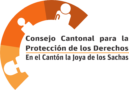 Consejo cantonal